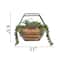 Flora Bunda® 11" Succulent Arrangement in Hexagon Wood & Metal Wall Accent
